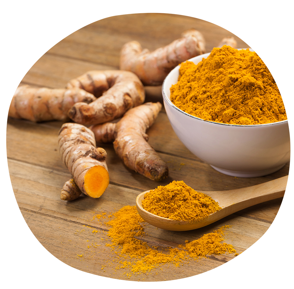 Curcuma gingembre EspritBIO