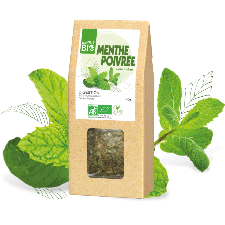 Infusion de menthe poivrée bio