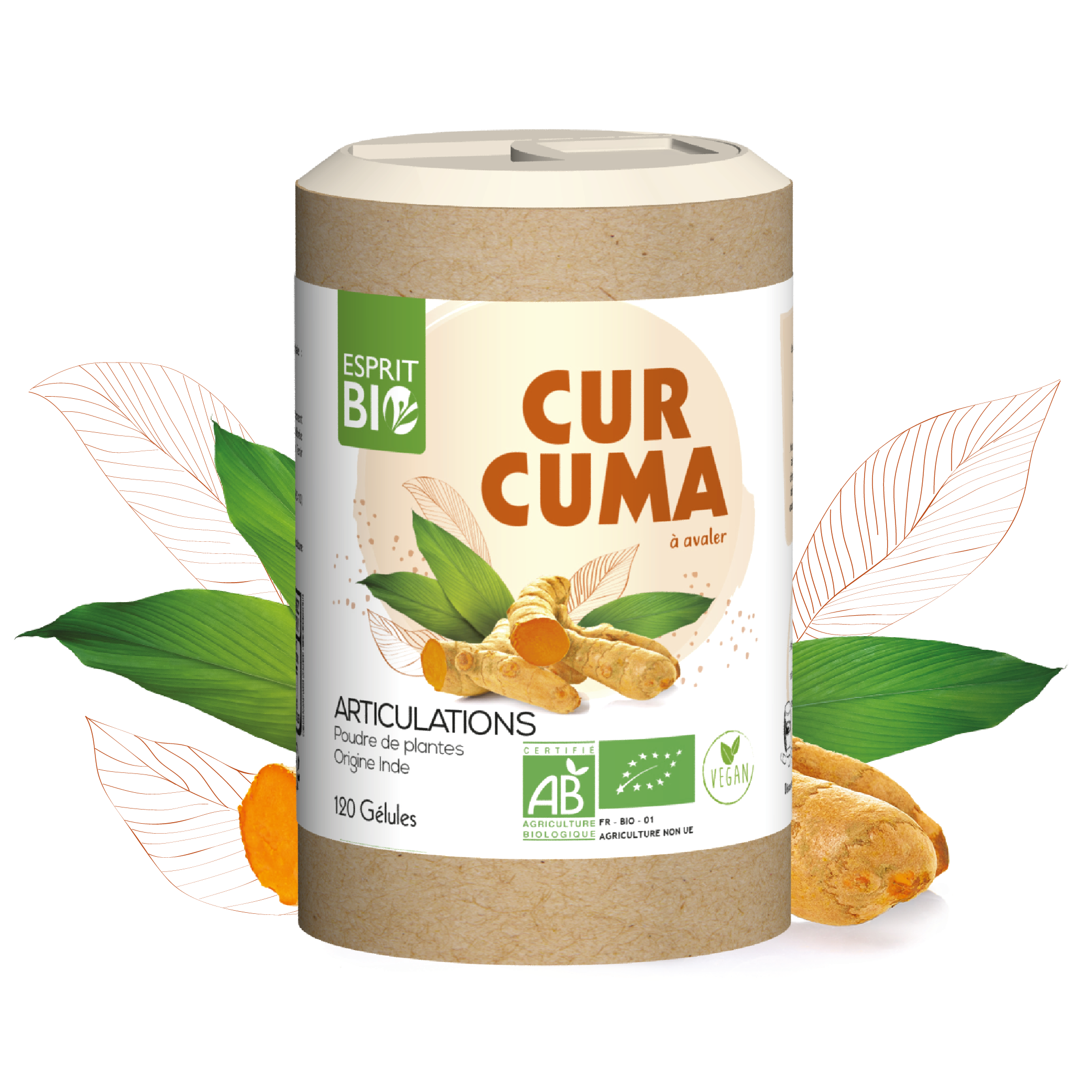 Bio Curcuma Curcuma - Esprit-BIO