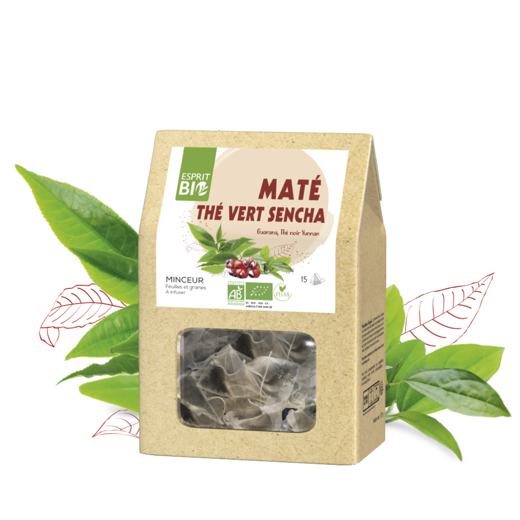 Thé Maté Vert Bio Salus - 15 Sachets (PZN06494316), Tisane énergisante