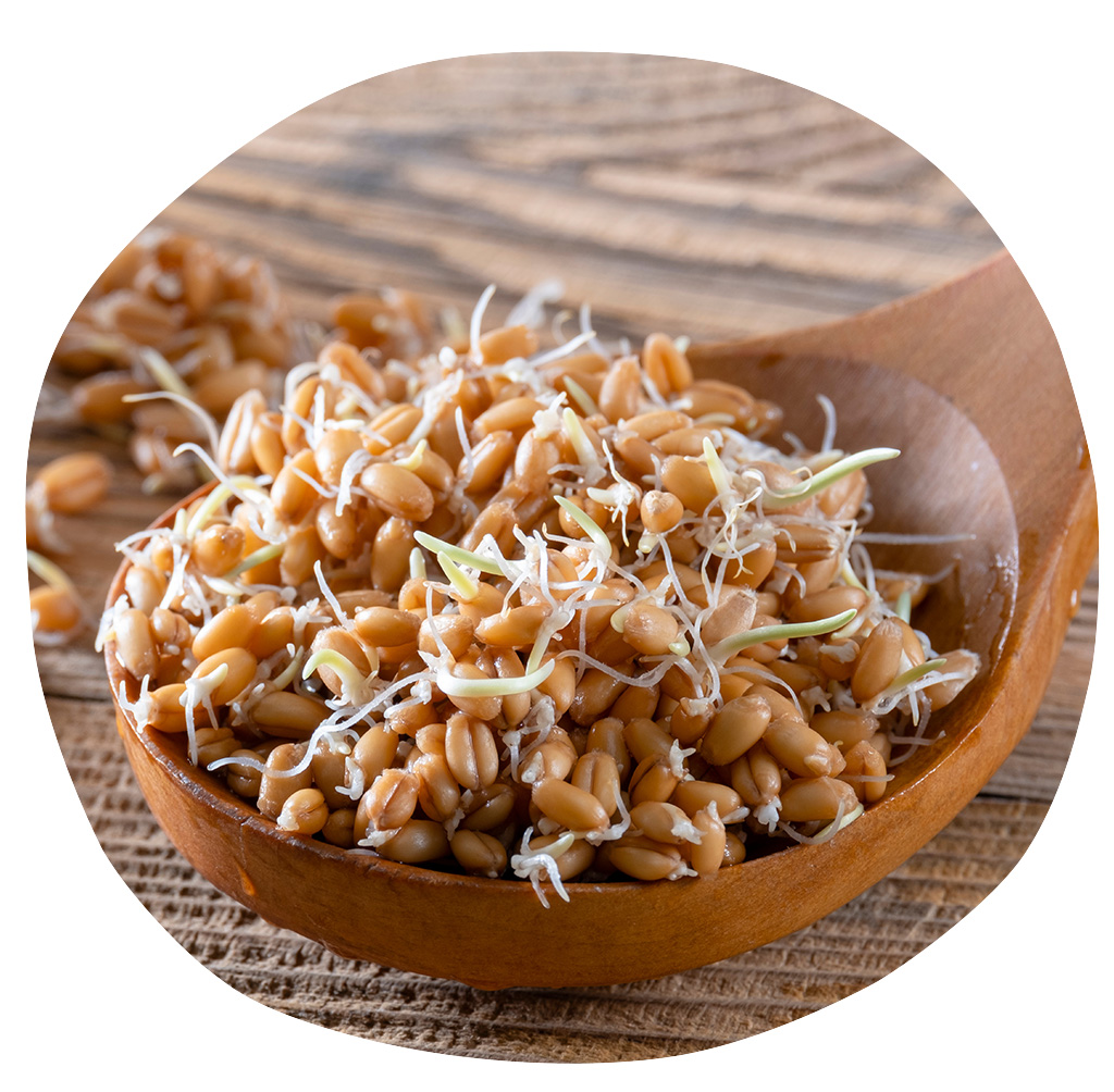 Graines à Germer Bio De Sarrasin - 150 G - Marque Nature Et Partage - Neuf